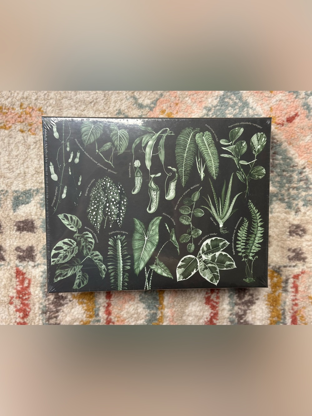 The House Plant Jigsaw Puzzle